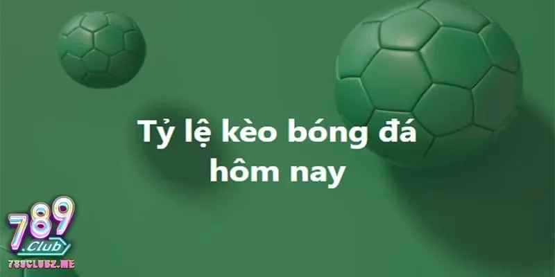 Các loại tỷ lệ kèo bóng đá thông dụng giúp bạn dễ dàng đặt cược chính xác