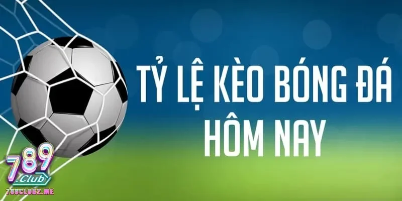 Khám phá các loại tỷ lệ kèo bóng đá phổ biến và cách đọc chúng
