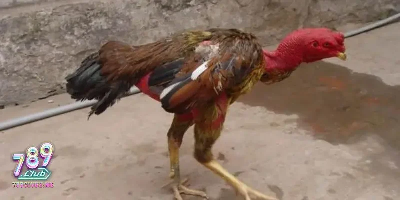Kiểm tra và cải thiện môi trường sống